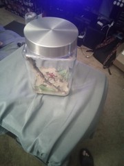 Marvel’s Ant Man Custom, Antman In A Jar.