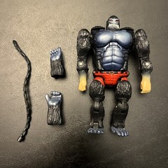 Transformers Beast Wars Animorphs Marco / Gorilla T1