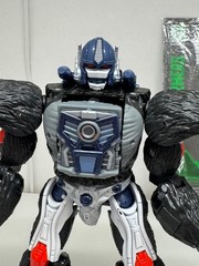 Hasbro Transformers War For Cybertron Kingdom Optimus Primal Rattrap Tigatron