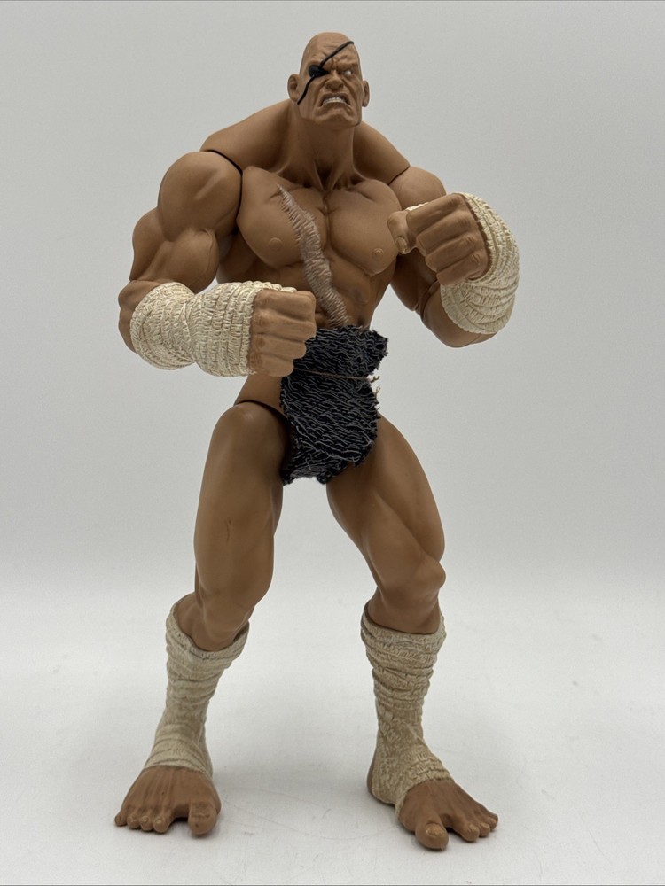 Sota Toys Street Fighter SAGAT Action Figure CAPCOM 2005 Missing Shorts Loose
