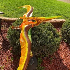 Jet Creations DI-PTE Dinosaur Pteranodon Inflatable 57″ Wingspan- Great For Pool
