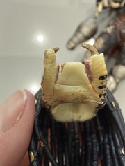 NECA Predator Hunter 2013 Comes As Shown