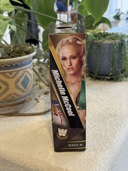 WWE Elite Legends Series 30 Michelle McCool With Women’s Belt & BAF