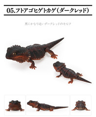 Creature Encyclopedia Japanese Gecko & Bearded Dragon Set of 5 Bandai Gashapon