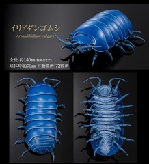 The Diversity of Life on Earth Advance Pill Bug Action Figure Bandai Capsule Toy