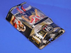WWE/WWF CLASSIC SUPERSTARS SERIES 23 HAWK LOD 2000 JAKKS 2009