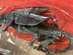 NECA Aliens Xenomorph Alien Queen Deluxe Action Figure 15 Inch Tall