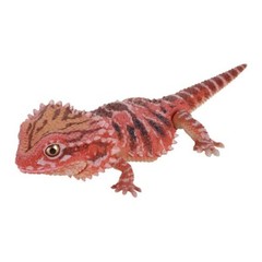 Creature Encyclopedia Japanese Gecko & Bearded Dragon Set of 5 Bandai Gashapon