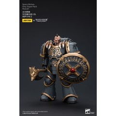 1PCS JOYTOY Warhammer 40K 1/18 Action Figure Space Wolves Grey Slayer Pack Mode