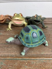 Lot 5 Frog Turtle Life-Like Realistic Plastic Rubber Stretchable Figure Toy