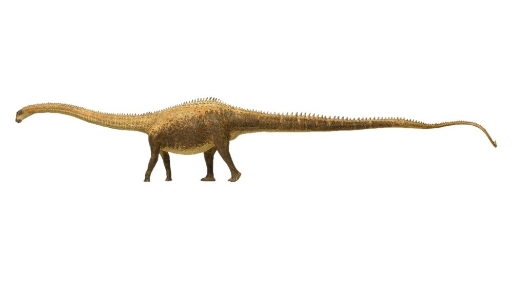Diplodocus Dinosaur Figure Replica Apatosaurus Sauropod Model EoFauna