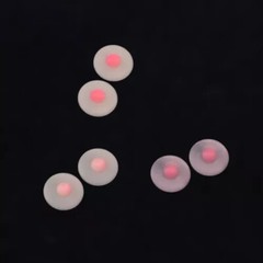 1/6 Nipple Cover Breast Chest Patches Female Props For 12″ PH TBL Figure Body