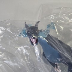 Pokémon 7″ Mega Charizard X Collectible Figure w/ Interchangeable Accessories