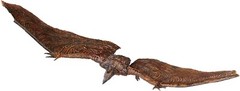 Hiya Toys RODAN Flameborn Godzilla King of the Monsters Exquisite Basic EBG0272