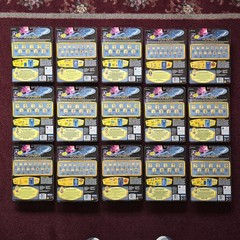 1995 Playmates Complete Set 15 Star Trek VOYAGER Action Figures MOC