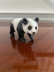 Retired Schleich PANDA BEAR 2001 Figure