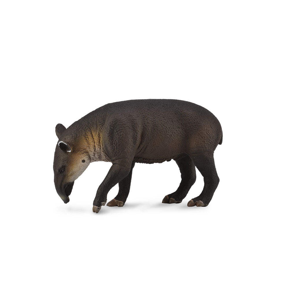 CollectA Realistic Animal Replica Bairds Tapir Figure Large Ages 3+ and Up