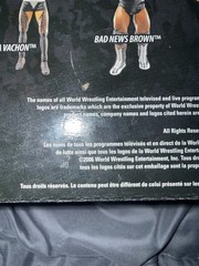 2006 WWE Jakks Pacific Deluxe Aggression DX: Shawn Michaels & Triple H EXCLUSIVE