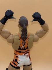 WWE MATTEL ELITE ROB VAN DAM WRESTLING FIGURE RARE WWF NXT AEW ECW RVD