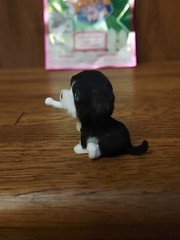 Puppy In My Pocket Series 2 MO MOUNTAIN DOG Blind Bag Collectible Figure