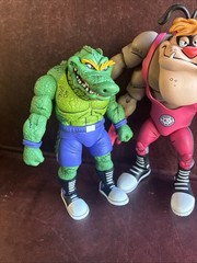 NECA TMNT Teenage Mutant Ninja Turtles Stump Wrestling 2 Loose Figures