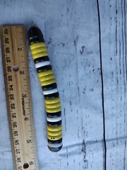 SLITHER iO SERIES 1 MYSTERY FIGURE SINGLE LOOSE #BLACK/WHITE/YELLOW