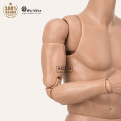 WorldBox AT011 1/6 Narrow Shoulder Muscular Male Figure Body TTM18 Hot Toys USA