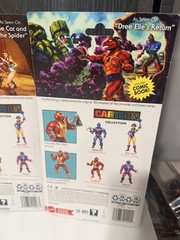 Mattel MOTU Teela Webstor Clawful Cartoon Collection Masters Of The Universe