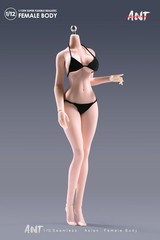 ANT N306 1:12 Female Seamless Body Pale Large Bust Plump Hip 6″ Action Figure