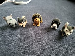 Puppy in My Pocket Lot of 5 Flocked Figurines