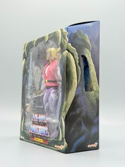 PRINCE ADAM 2019 Super7 Masters of the Universe MOTU Club Grayskull Filmation