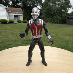 Marvel Ant-Man Action Figure Plastic Figure Black Red Silver Colors