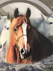 ROYAL BREEDS QUARTER Horse Figurine And Comb, Quarter Horse