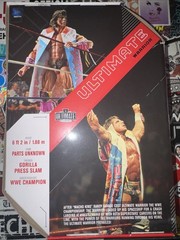 Mattel WWE Ultimate Warrior Ultimate Edition 14 Wrestling Action Figure 6” New