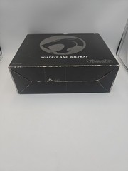 Thundercats Classic Wilykit & Wilykat Matty Collector 2016 DKB94 Mattel. Read.