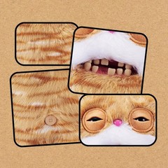 Fuggler 🐱 Alley Cats STINKFACE 🐱 NEW 9″ Fast Free Ship! Funny! Ugly! Cute