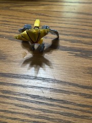 Gaoranger Yellow Eagle Zord Modelkit