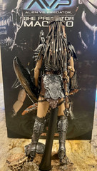 2008 AVP Alien Vs. Predator She Predator Machiko Hot Toys Hot Angel Rare
