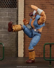 PRESALE! Ultra Street Fighter II T. Hawk Deluxe 6-Inch Scale Action Figure JADA