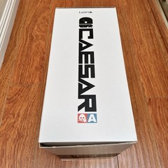 ThreeA WWR 1/6 Deep Comm Caesar 17″ Figure Ashley Wood 3A Bertie Powder 2011
