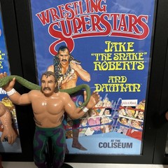 Vintage LJN Titan Sports Jake The Snake Roberts WWF Wrestling Superstars 1987