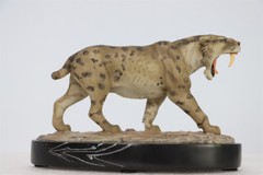 MEMORY MUSEUM 1/15 Prehistoric Cat Smilodon Populator GK Animal Model Toys Gift
