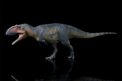 PNSO 1/35 Giganotosaurus 17 Model Prehistoric Dinosaur Animal Figure Gift Toys