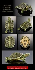 The Diversity of Life on Earth Advance Turtle 01 Figure Bandai Premium Gashapon