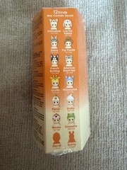 Sonny Angel Animal Series Ver. 3 Mini Figure – Blind Box (1 Random Figure)