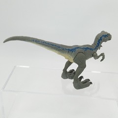 Jurassic Park World Velociraptor Savage Strike “Blue” Dinosaur Forward Leap