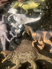 Lot of 13- Made in Indonesia-Dinosaurs With Moveable Arms and Legs 6”and Bigger