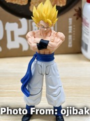 TONSENARTTOYS Kamione -02A Muay Thai Rightes Gogeta 1/12 Action Figure IN STOCK