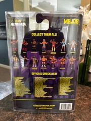 BIG RUBBER GUYS DEMOLITION CRUSH BRIAN ADAMS WWE WWF LJN in Protector Case