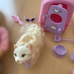 American purchase, potentially not available in Japan. Barbie Kitty Fan, cat,